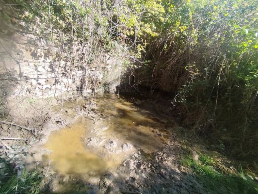 Premi aqui per a veure la imatge a grand�ria completa