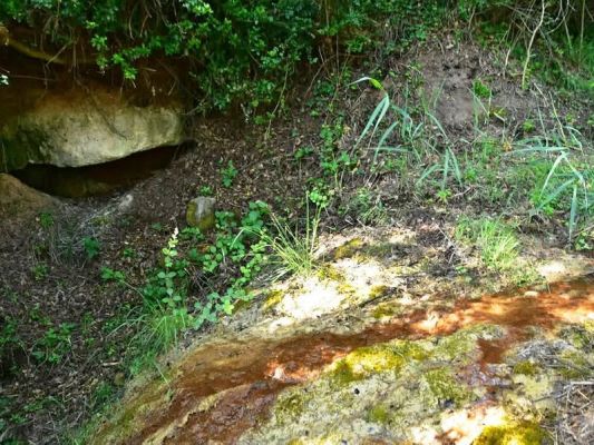 Premi aqui per a veure la imatge a grand�ria completa
