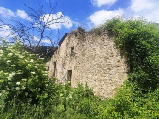 Premi aqui per a veure la imatge a grand�ria completa