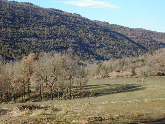 Premi aqui per a veure la imatge a grand�ria completa