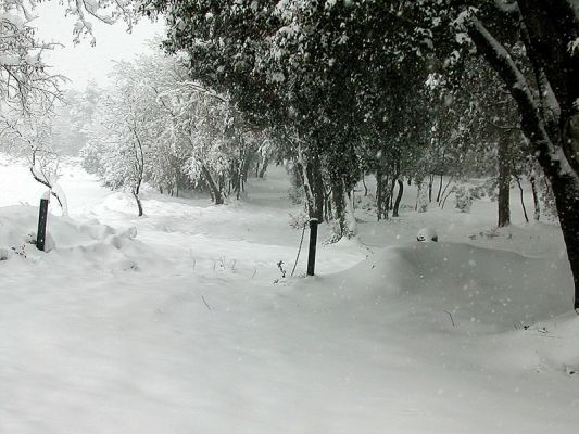 Premi aqui per a veure la imatge a grand�ria completa