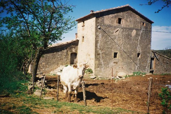 Premi aqui per a veure la imatge a grand�ria completa