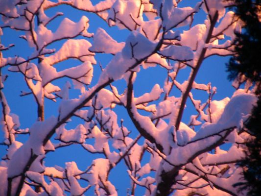 Premi aqui per a veure la imatge a grand�ria completa