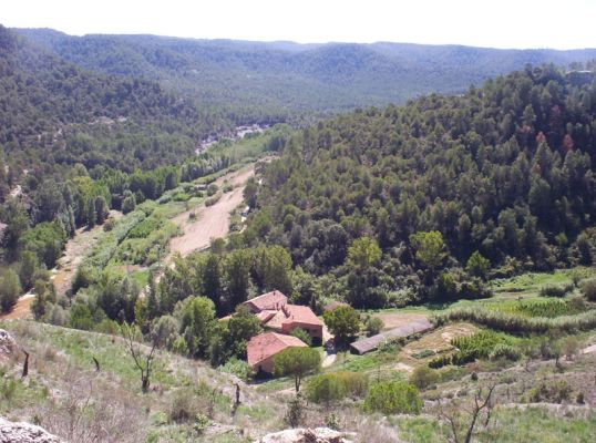 Premi aqui per a veure la imatge a grand�ria completa