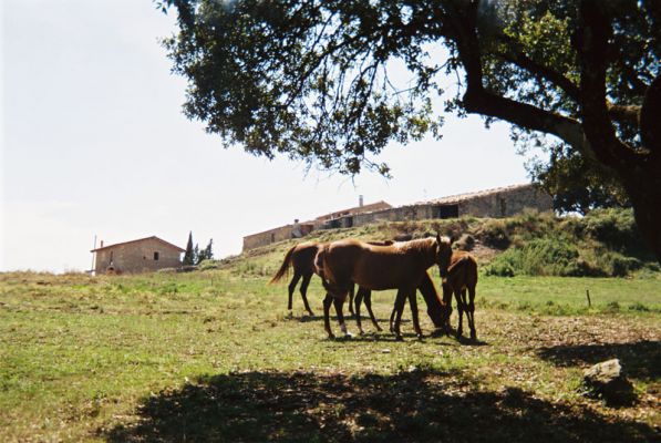 Premi aqui per a veure la imatge a grand�ria completa