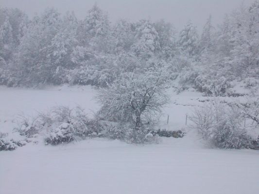 Premi aqui per a veure la imatge a grand�ria completa