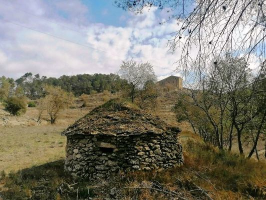 Premi aqui per a veure la imatge a grand�ria completa