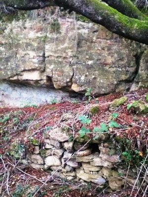 Premi aqui per a veure la imatge a grand�ria completa