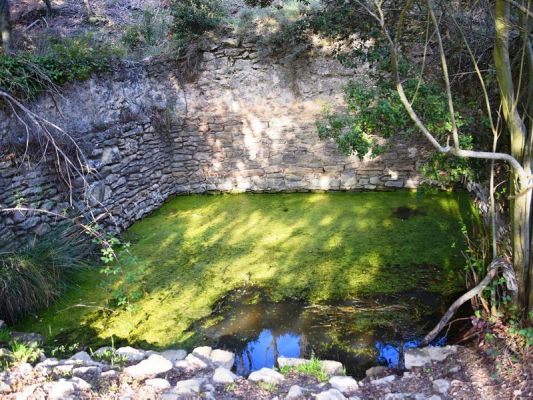 Premi aqui per a veure la imatge a grand�ria completa