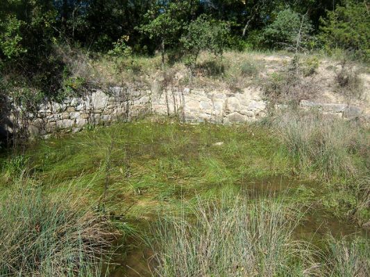 Premi aqui per a veure la imatge a grand�ria completa