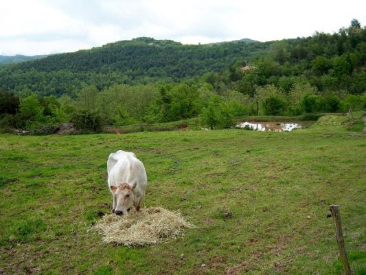 Premi aqui per a veure la imatge a grand�ria completa