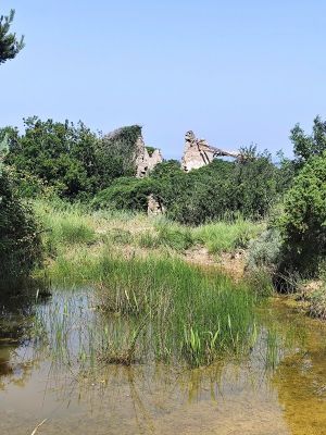 Premi aqui per a veure la imatge a grand�ria completa