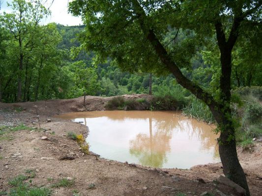 Premi aqui per a veure la imatge a grand�ria completa