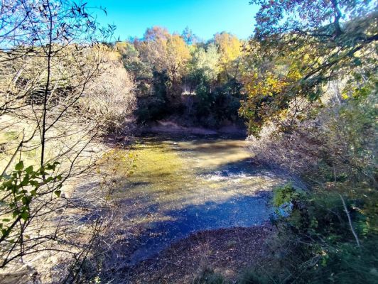 Premi aqui per a veure la imatge a grand�ria completa