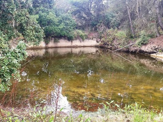 Premi aqui per a veure la imatge a grand�ria completa