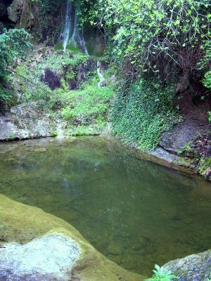 Premi aqui per a veure la imatge a grand�ria completa