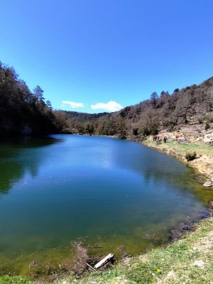 Premi aqui per a veure la imatge a grand�ria completa