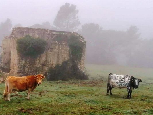 Premi aqui per a veure la imatge a grand�ria completa