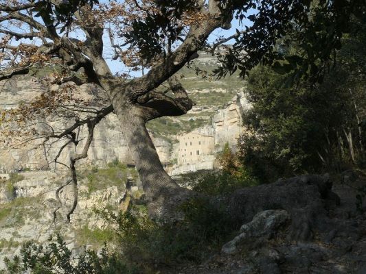 Premi aqui per a veure la imatge a grand�ria completa