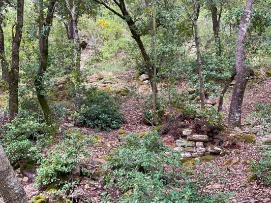 Premi aqui per a veure la imatge a grand�ria completa