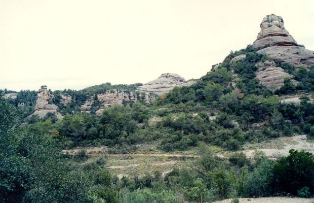 Premi aqui per a veure la imatge a grand�ria completa