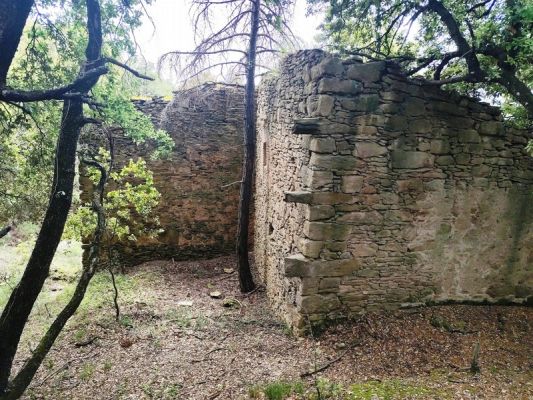 Premi aqui per a veure la imatge a grand�ria completa