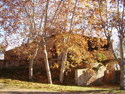 Premi aqui per a veure la imatge a grand�ria completa