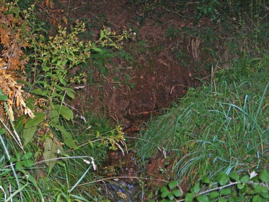 Premi aqui per a veure la imatge a grand�ria completa