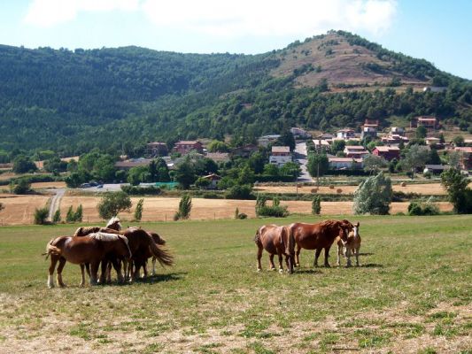 Premi aqui per a veure la imatge a grand�ria completa