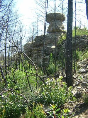 Premi aqui per a veure la imatge a grand�ria completa