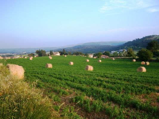 Premi aqui per a veure la imatge a grand�ria completa