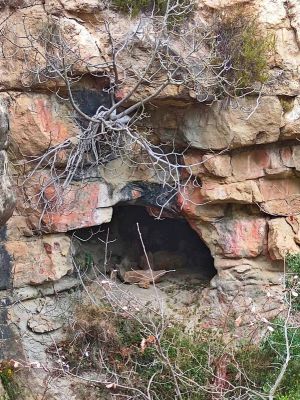 Premi aqui per a veure la imatge a grand�ria completa