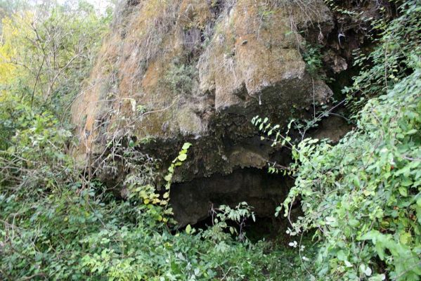 Premi aqui per a veure la imatge a grand�ria completa