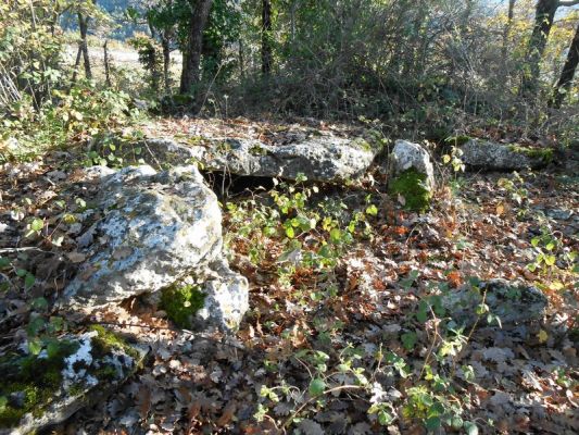 Premi aqui per a veure la imatge a grandària completa