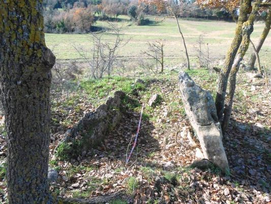 Premi aqui per a veure la imatge a grand�ria completa