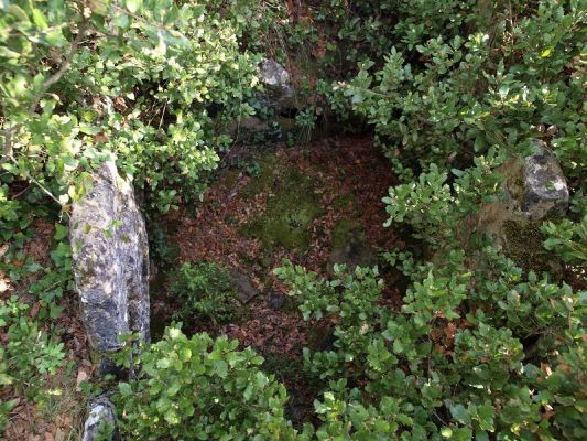 Premi aqui per a veure la imatge a grand�ria completa