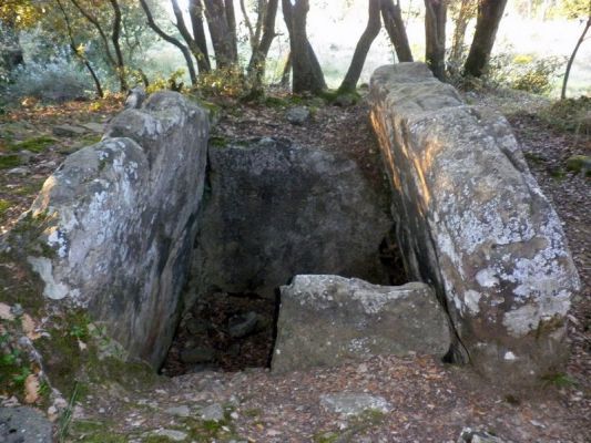 Premi aqui per a veure la imatge a grand�ria completa