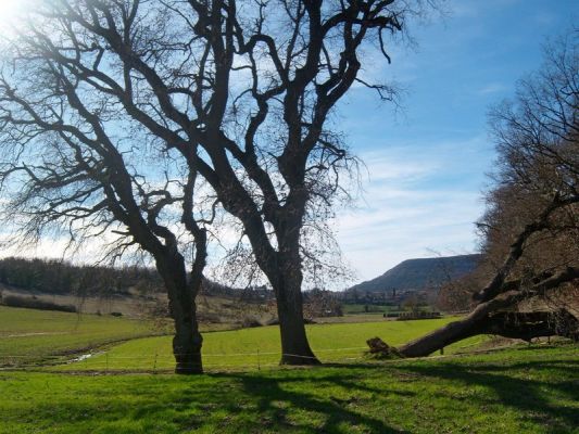 Premi aqui per a veure la imatge a grand�ria completa