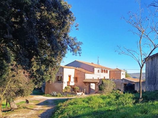 Premi aqui per a veure la imatge a grand�ria completa