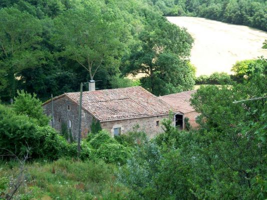 Premi aqui per a veure la imatge a grand�ria completa