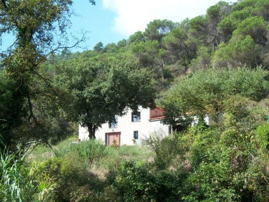 Premi aqui per a veure la imatge a grand�ria completa