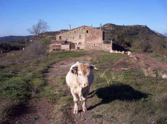 Premi aqui per a veure la imatge a grand�ria completa