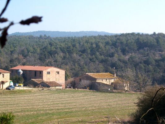 Premi aqui per a veure la imatge a grand�ria completa