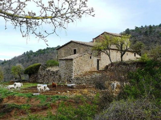 Premi aqui per a veure la imatge a grand�ria completa