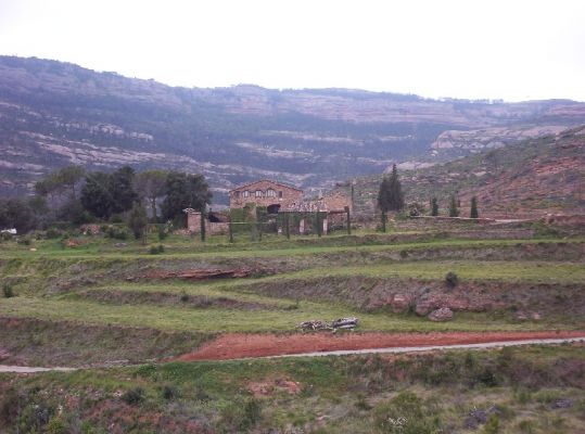 Premi aqui per a veure la imatge a grand�ria completa