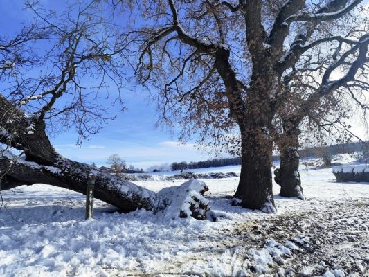 Premi aqui per a veure la imatge a grand�ria completa