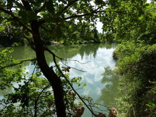 Premi aqui per a veure la imatge a grand�ria completa