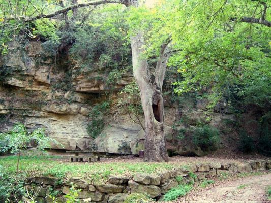 Premi aqui per a veure la imatge a grand�ria completa