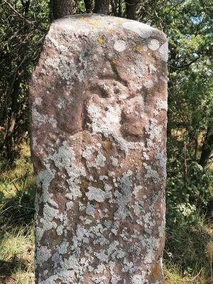 Premi aqui per a veure la imatge a grand�ria completa