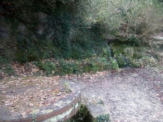 Premi aqui per a veure la imatge a grand�ria completa